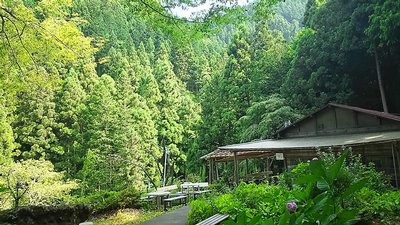 🦇 미쓰고 석회동굴 (미쓰고 쇼뉴도) 이미지 2